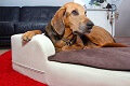Hundekissen Medical Style Plus